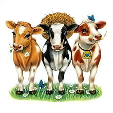 Load image into Gallery viewer, Diamond Painting - Full Round - Cows (30*30CM)