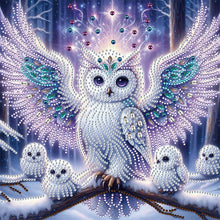 Load image into Gallery viewer, Diamond Painting - Partial Special Shaped - Owl (30*30CM)