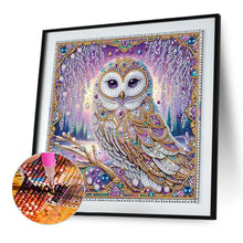 Load image into Gallery viewer, Diamond Painting - Partial Special Shaped - Owl (30*30CM)