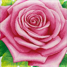 Load image into Gallery viewer, AB Diamond Painting - Full Square - Blooming roses (45*45CM)