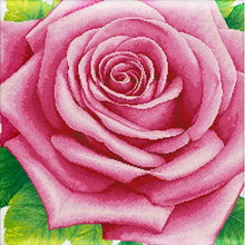 Load image into Gallery viewer, AB Diamond Painting - Full Square - Blooming roses (45*45CM)