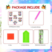 Load image into Gallery viewer, 6Pcs Diamond Painting Refrigerator Magnets Diamond Art Kits (Colorful Owl)