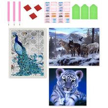 Load image into Gallery viewer, 3pcs Round Diamond Painting Set - Animal series (30*40CM)