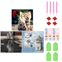 Load image into Gallery viewer, 3pcs Round Diamond Painting Set - Cat (30*30CM)