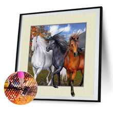 Load image into Gallery viewer, 2pcsRound Diamond Painting Set - Animal (30*30CM)