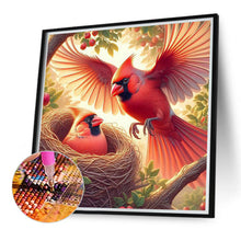 Load image into Gallery viewer, Diamond Painting - Full Round - Red cardinal (40*40CM)