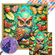Load image into Gallery viewer, AB Diamond Painting - Full Square - Owl (40*40CM)