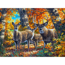 Load image into Gallery viewer, Diamond Painting - Full Round - Maple forest elk (40*30CM)