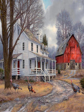 Load image into Gallery viewer, Diamond Painting - Full Round - Villa guinea fowl (40*30CM)