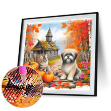 Load image into Gallery viewer, Diamond Painting - Full Round - Autumn Pumpkins and Cats and Dogs (40*40CM)