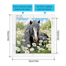 Load image into Gallery viewer, Diamond Painting - Partial Special Shaped - Horse (30*30CM)