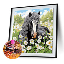 Load image into Gallery viewer, Diamond Painting - Partial Special Shaped - Horse (30*30CM)