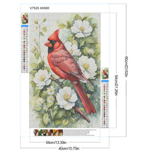 Load image into Gallery viewer, Diamond Painting - Full Round - White flower cardinal (40*60CM)