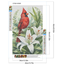Load image into Gallery viewer, Diamond Painting - Full Round - Lily cardinal (40*60CM)