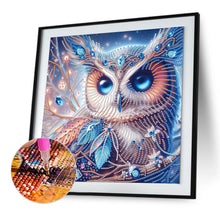 Load image into Gallery viewer, Diamond Painting - Partial Special Shaped - Owl (30*30CM)