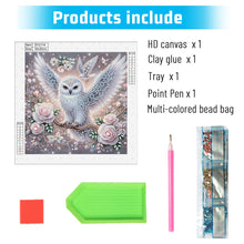 Load image into Gallery viewer, Diamond Painting - Partial Special Shaped - Owl (30*30CM)