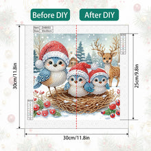 Load image into Gallery viewer, Diamond Painting - Partial Special Shaped - Christmas Bird (30*30CM)