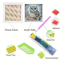 Load image into Gallery viewer, Diamond Painting - Partial Special Shaped - Winter owl with framed (19.2*19.2CM)