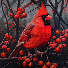 Load image into Gallery viewer, Diamond Painting - Full Round - Red cardinal (30*30CM)