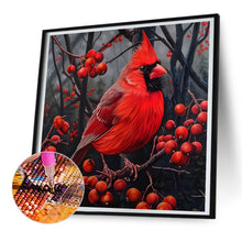 Load image into Gallery viewer, Diamond Painting - Full Round - Red cardinal (30*30CM)