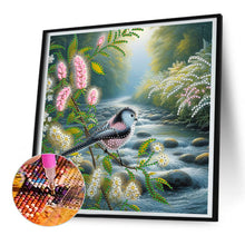 Load image into Gallery viewer, Diamond Painting - Partial Special Shaped - Birds and flowers (30*30CM)