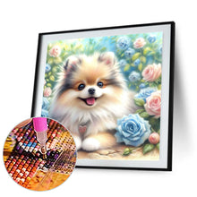 Load image into Gallery viewer, Diamond Painting - Full Round - Rose Garden Pomeranian (30*30CM)