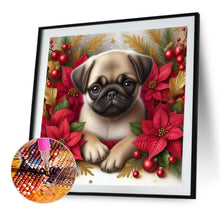 Load image into Gallery viewer, AB Diamond Painting - Full Square - Christmas poinsettia dog (40*40CM)