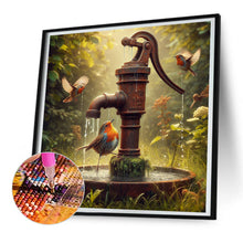 Load image into Gallery viewer, Diamond Painting - Full Round - Birds in the well (30*30CM)