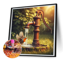 Load image into Gallery viewer, Diamond Painting - Full Round - Birds in the well (30*30CM)