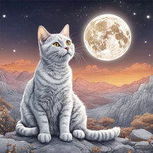 Load image into Gallery viewer, Diamond Painting - Full Round - Cat under the moon (30*30CM)