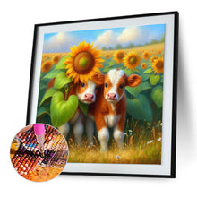 Load image into Gallery viewer, Diamond Painting - Full Round - Two cows in a sunflower field (30*30CM)