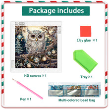 Load image into Gallery viewer, Diamond Painting - Partial Special Shaped - Christmas owls (30*30CM)