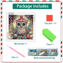 Load image into Gallery viewer, Diamond Painting - Partial Special Shaped - Christmas owls (30*30CM)