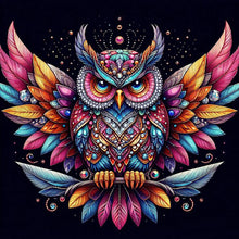 Load image into Gallery viewer, Diamond Painting - Full Round - Shining jewel owl (40*40CM)
