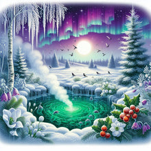 Load image into Gallery viewer, Diamond Painting - Full Round - Winter hot spring and aurora (40*40CM)