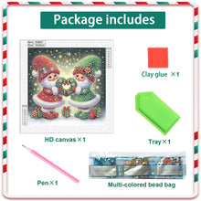 Load image into Gallery viewer, Diamond Painting - Partial Special Shaped - Christmas gnomes (30*30CM)
