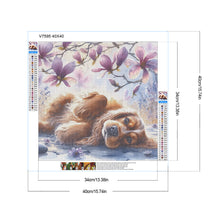 Load image into Gallery viewer, Diamond Painting - Full Round - Magnolia cocker spaniel (40*40CM)
