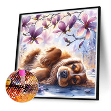 Load image into Gallery viewer, Diamond Painting - Full Round - Magnolia cocker spaniel (40*40CM)
