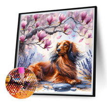 Load image into Gallery viewer, Diamond Painting - Full Round - Magnolia dachshund (40*40CM)