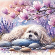 Load image into Gallery viewer, Diamond Painting - Full Round - Magnolia Maltese (40*40CM)