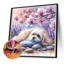 Load image into Gallery viewer, Diamond Painting - Full Round - Magnolia Maltese (40*40CM)