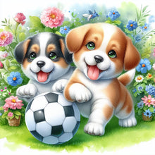 Load image into Gallery viewer, Diamond Painting - Full Round - Two dogs football in the grass (30*30CM)