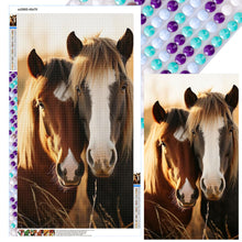 Load image into Gallery viewer, Diamond Painting - Full Round - Horse on the grassland (40*70CM)