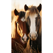 Load image into Gallery viewer, Diamond Painting - Full Round - Horse on the grassland (40*70CM)