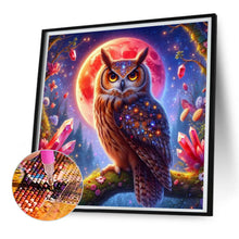 Load image into Gallery viewer, AB Diamond Painting - Full Square - Owl (30*30CM)