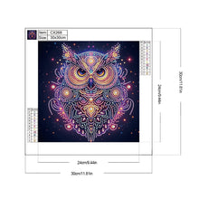 Load image into Gallery viewer, Diamond Painting - Partial Special Shaped - Starlight animal owls (30*30CM)