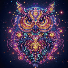 Load image into Gallery viewer, Diamond Painting - Partial Special Shaped - Starlight animal owls (30*30CM)