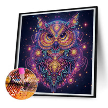 Load image into Gallery viewer, Diamond Painting - Partial Special Shaped - Starlight animal owls (30*30CM)