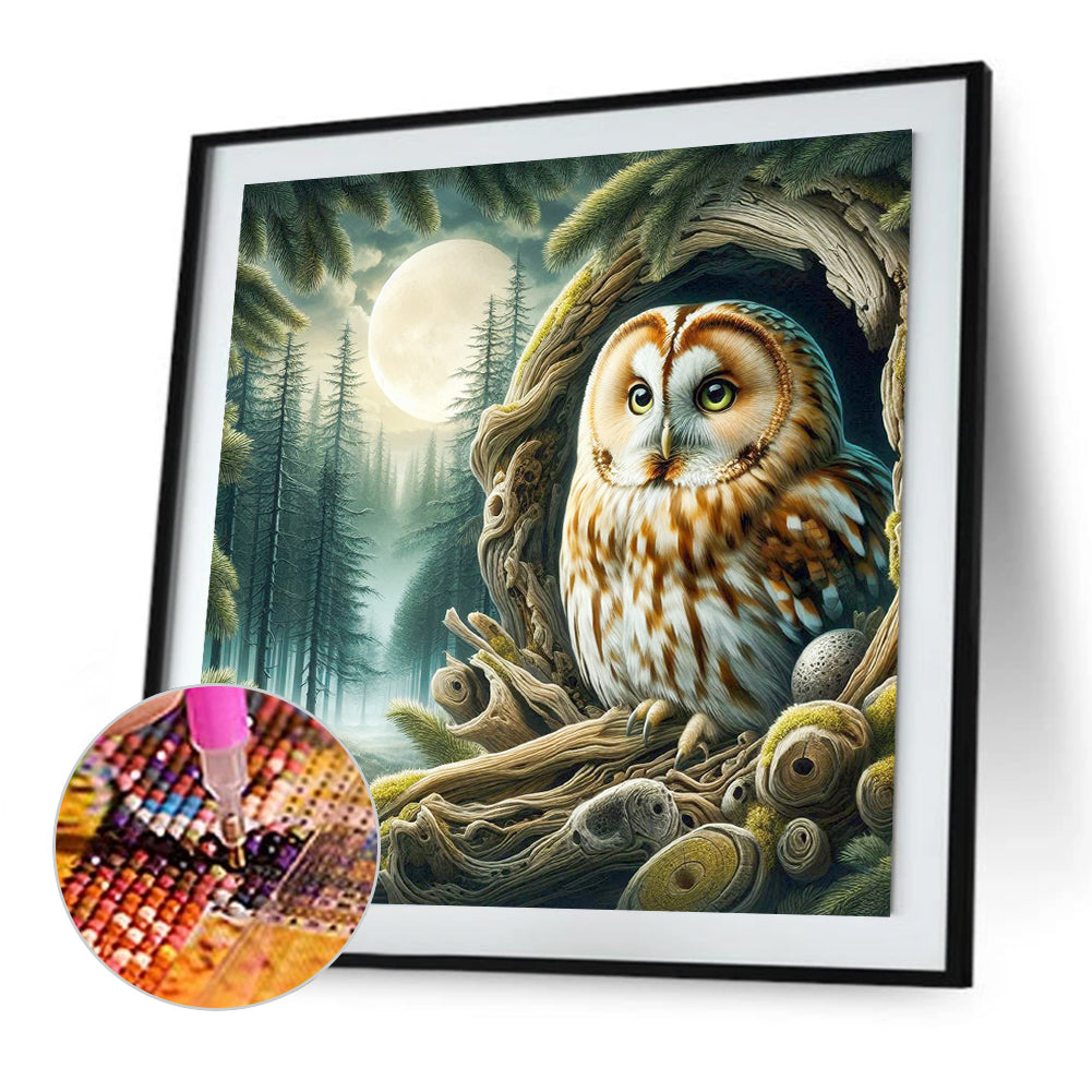 Diamond Painting - Full Square - Owl (40*40CM)