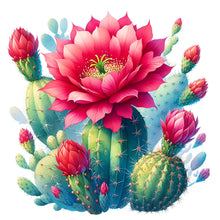 Load image into Gallery viewer, Diamond Painting - Full Round - Cactus flowers (30*30CM)